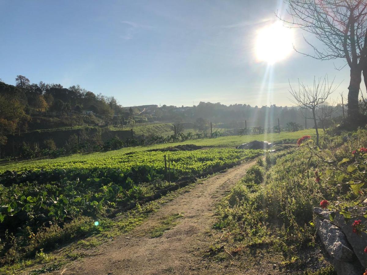 Quinta Do Ovelheiro Villa Guimarães Buitenkant foto